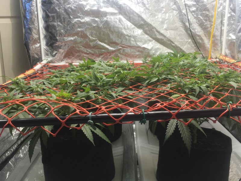 C14FD2D0-8014-4936-81F8-F23A2CB513B8