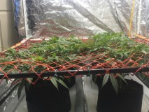 C14FD2D0-8014-4936-81F8-F23A2CB513B8