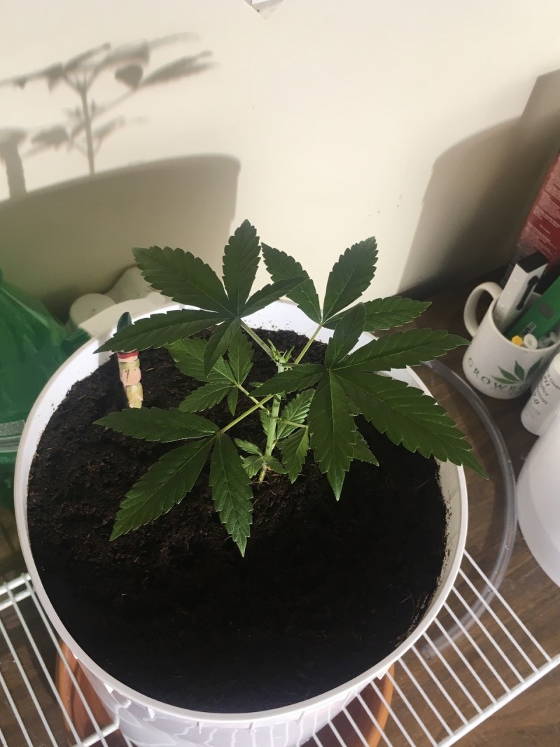 06FC4F84-FF39-4B60-9B26-C3494035FEE8