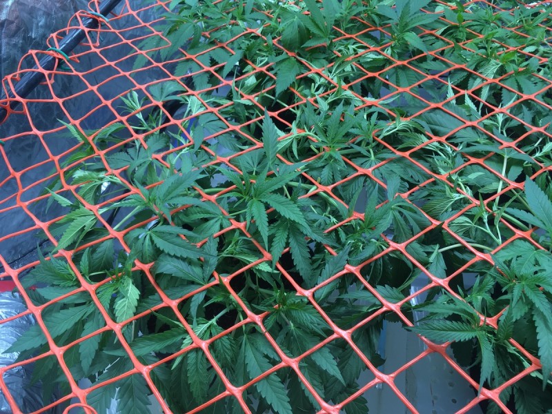 D0E5D112-D132-4FEA-B671-DDD2E0E85D34