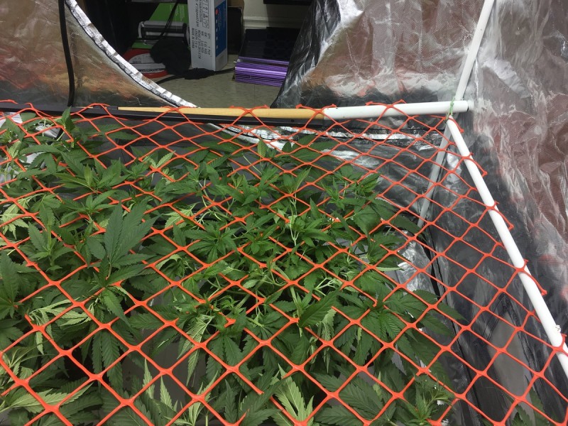 AC50463A-964E-4407-B1AE-B0E9E2E06BA5