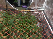 AC50463A-964E-4407-B1AE-B0E9E2E06BA5