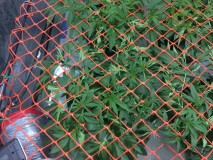 4631E36C-F691-40B4-82BB-D41A4E2F1111