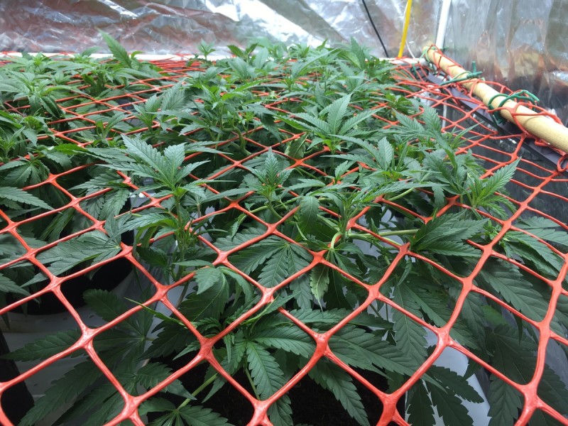 47E00929-C8BA-466C-AD1A-4FB3522A2A4E