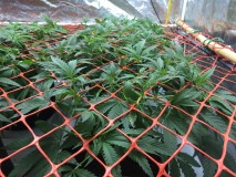 47E00929-C8BA-466C-AD1A-4FB3522A2A4E