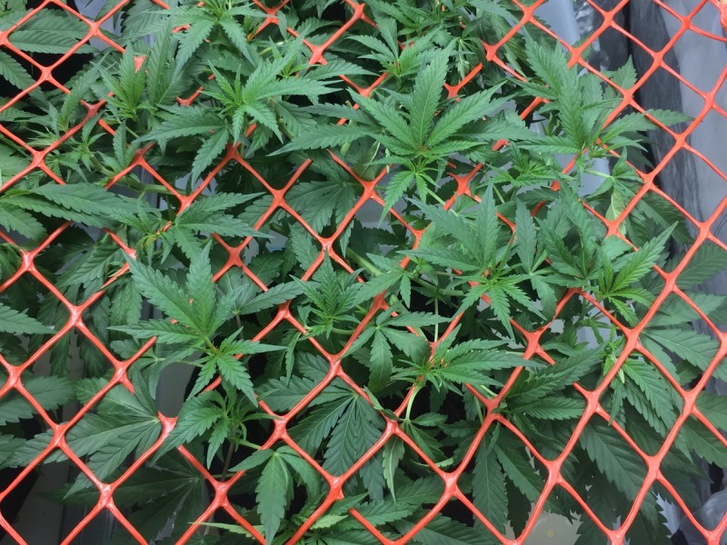 D940EAD4-1E2A-4DE4-91CE-3953D5B3B0CC