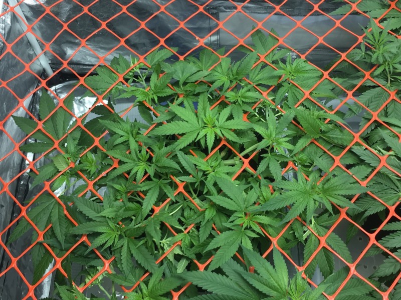 08044D83-BFE0-4A4A-BC67-9953B1B43268