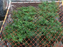 17C478C3-D6C2-4DE3-92EE-94403D3BD9F0