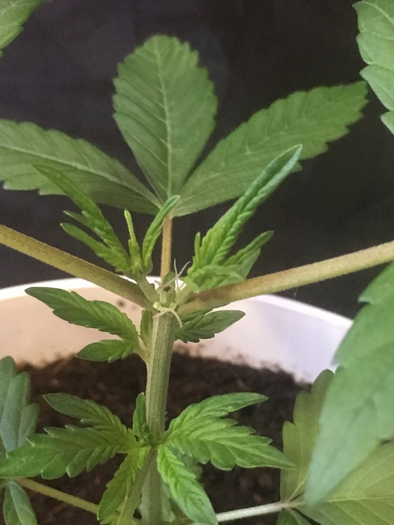 9B579F35-84EB-40BF-B60A-68C7A3A6D6A7