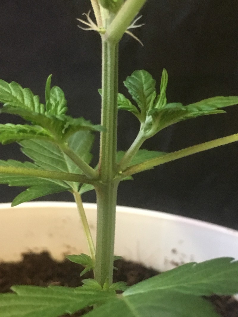 860FD4A7-A1EB-49C5-ACF7-56CE3479E5AB