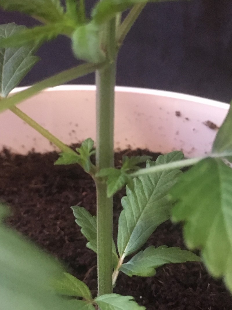 1490509F-F2E6-4185-94DF-1FDAEF17B7AA