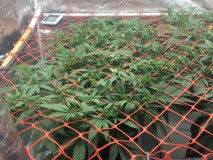 5E992E04-6E2D-4C70-B673-263E51A3733E