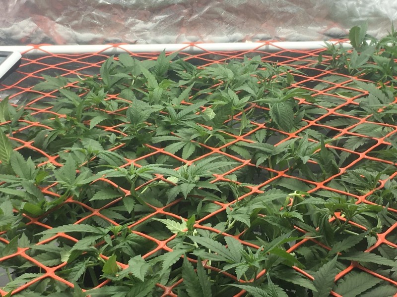 76231DD6-4BE5-45FF-9922-74C5B260AF53