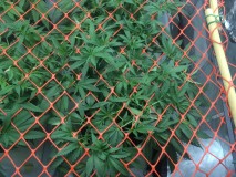 28C8F38F-3296-4FD3-B034-EA3D69D6B27D