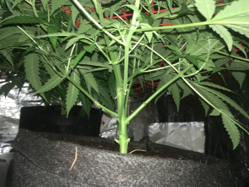 4ACCF06D-B34C-48DB-95B0-00766D060AFD