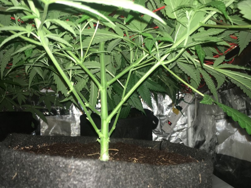 42AE7BEE-A0E5-4119-B67B-E48148BBA515