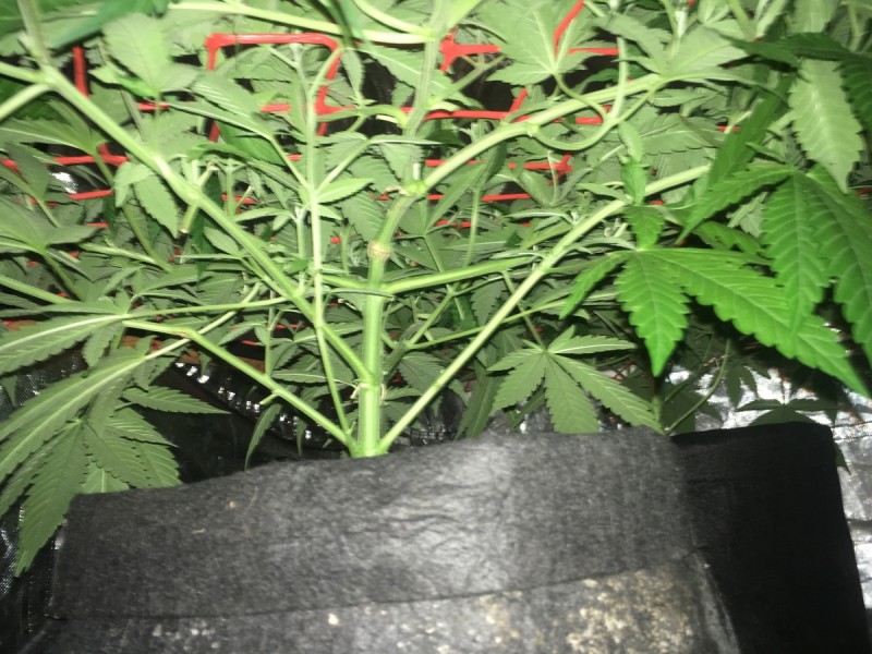 34897EB5-93D9-4DFE-9638-B2FFF1020BF6