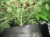 34897EB5-93D9-4DFE-9638-B2FFF1020BF6