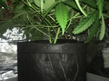 C30DE1AE-96D8-4A98-B14C-AB50BFFEEC90