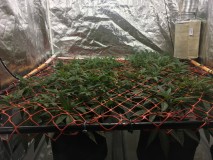 904E5C89-A878-47C7-9A76-66C195D8CCDA