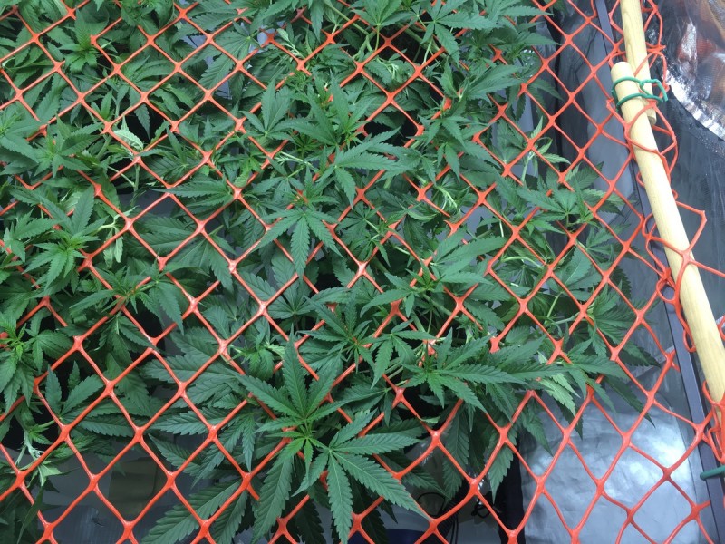 46FB4FCD-5AFB-493C-9EDE-5D1A171AB032