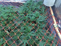 3CD0DD8B-4AD4-4517-B04C-61395D2AABA2