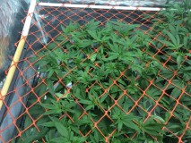 A919EE62-58B3-4294-9FE8-83B331A3B594