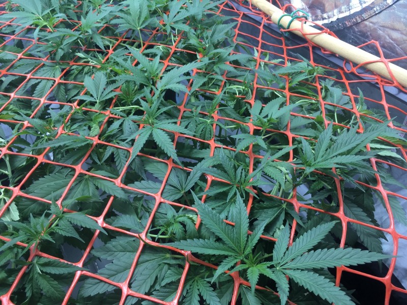 07EDD286-37A7-465F-8DAD-7E5B4B11EC4A