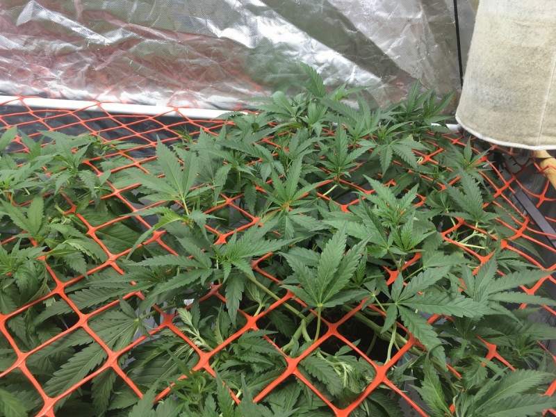 EB307717-E709-4003-A12F-78E4762C2740