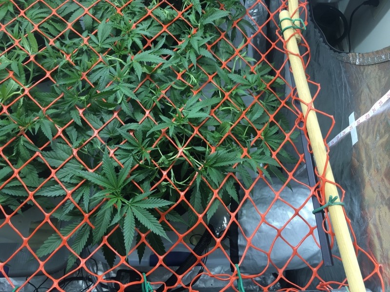 6DB64EFA-765D-4B4A-8D8C-ADAAE6AC74D9