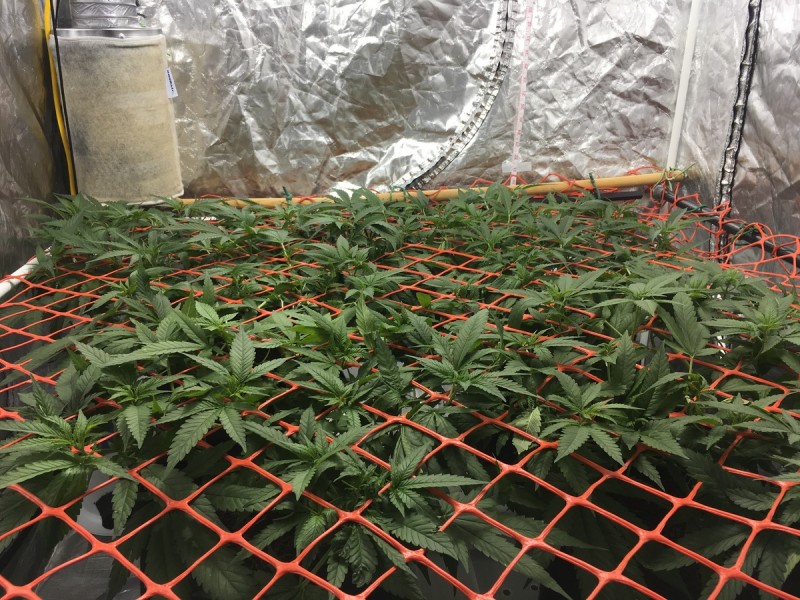 2338A953-491B-49F7-AF13-3D5D1B643958