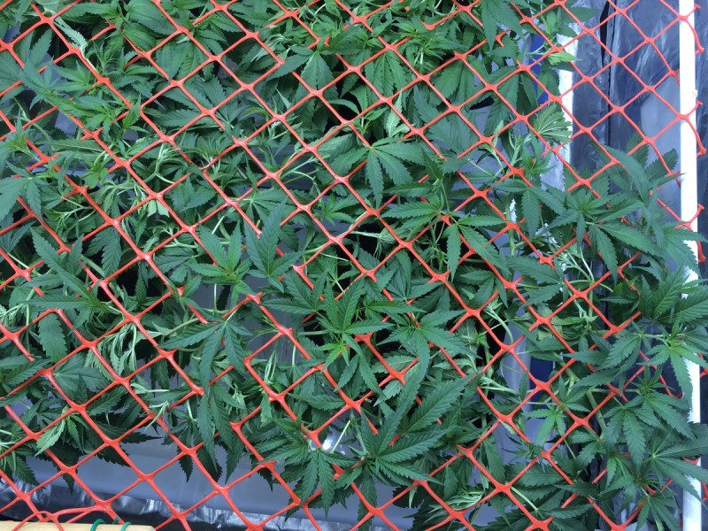 A9BB9E42-3CC9-4B38-AF75-7EF9968547CA