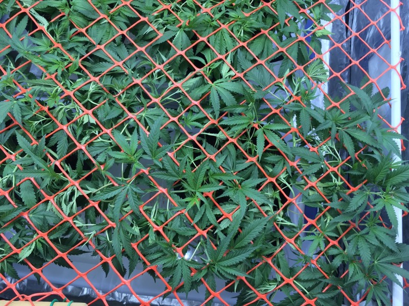 C7AF9F9A-69C4-4177-9530-8AFA7FAF3BF8