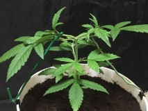 22B517E2-B5C6-4757-8F47-68CA16CA7636