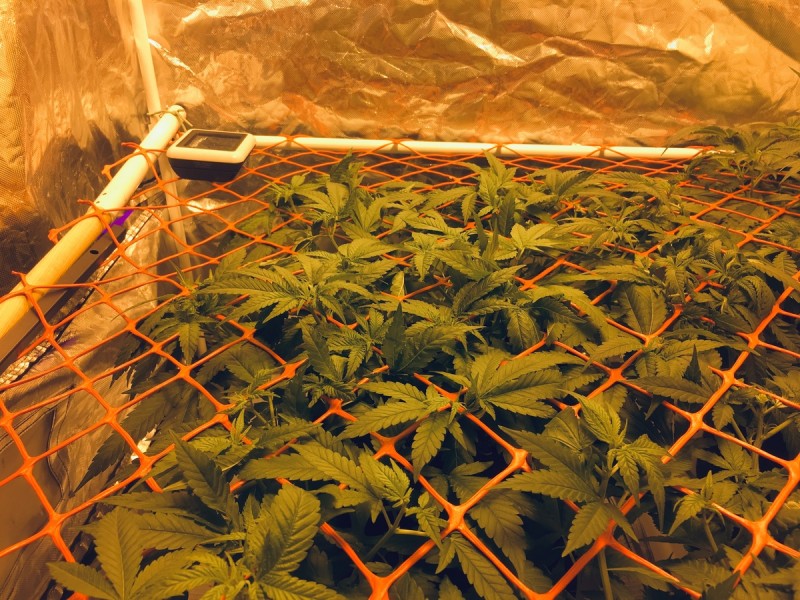 373B0BE8-54EF-4C26-B6B5-16E4F45151F3