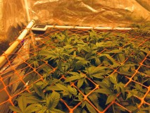 373B0BE8-54EF-4C26-B6B5-16E4F45151F3