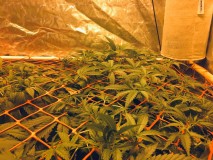 177911AD-E9A9-4F53-8C13-3DF47E14CD43