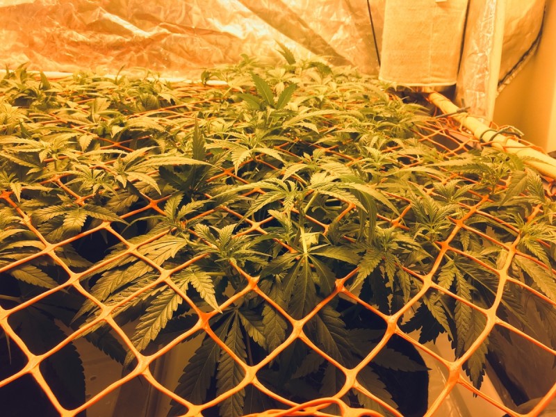 77E203F1-EF57-45FD-B3EF-5B163C439D1F