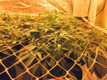 77E203F1-EF57-45FD-B3EF-5B163C439D1F