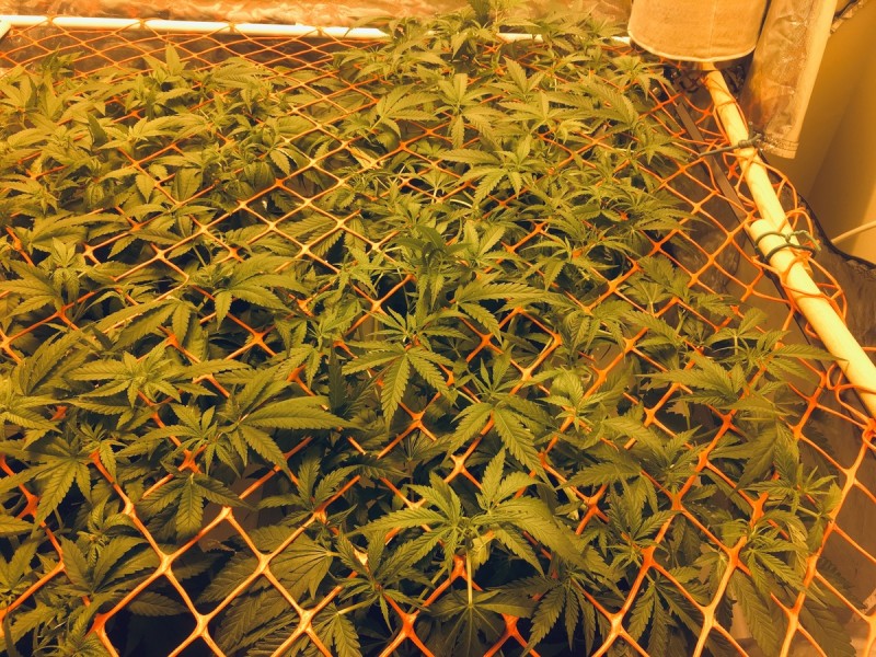 987F7F37-5C2C-49D6-B09C-90C292DD63E1