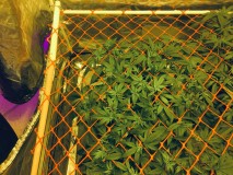 53E792F9-DA54-49C9-979E-5E3B0C963835