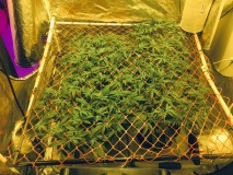 5DDE4416-7EA9-41C3-B0BD-9268AB3BA77B