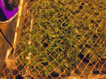 5A517001-95D2-4EAB-9979-D391AA816F7B