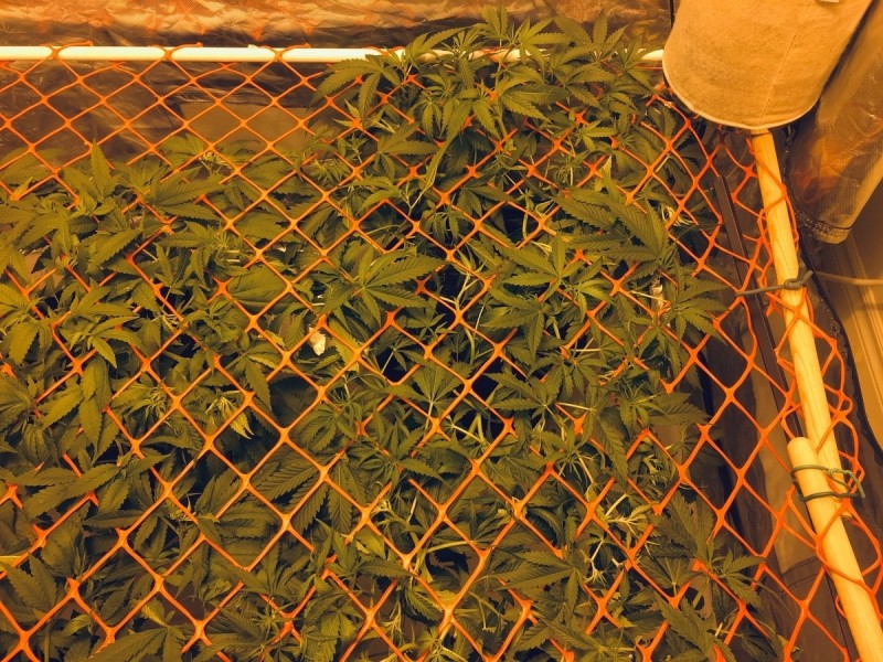 A80C8D7B-28EC-4968-8901-1F392EBADD34