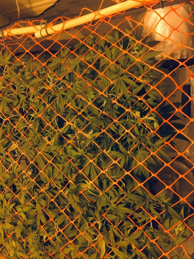 8F02C682-6A2A-4906-81EC-5F9FDEDEE0DB