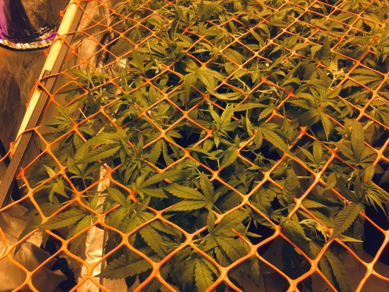 B5002E58-FE02-41D2-B5CC-5C5D466EB25F