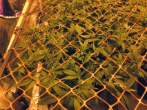 B5002E58-FE02-41D2-B5CC-5C5D466EB25F