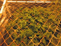 4A7A00A0-5823-4F2F-B0E2-593B113D425A