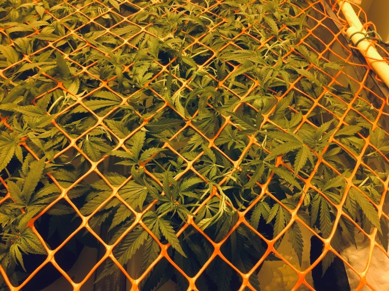 5D3AB3A8-4931-4D4B-A306-EB96403009B5