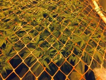 5D3AB3A8-4931-4D4B-A306-EB96403009B5